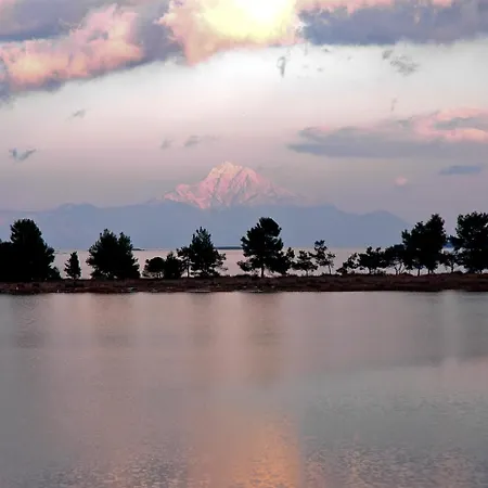 Fillis House 公寓 沃尔沃罗